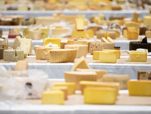 Miniatura: Ser z groźną bakterią. GIS ostrzega przed...