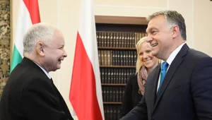 Miniatura: Kaczyński chce się spotkać z Orbanem....