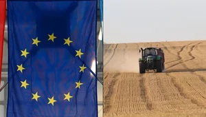 Miniatura: Więcej towarów z Ukrainy napłynie do...