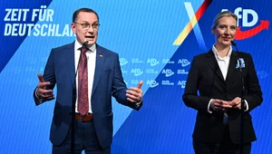 Miniatura: Rak: W programie AfD nie ma rewizji...