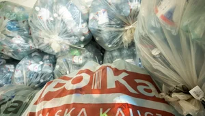 Miniatura: Milion Polaków dorabia zbierając butelki....