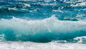 Miniatura: 13-letnia Polka porwana przez morze....