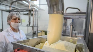 Miniatura: Nie pomogło przejęcie przez giganta....