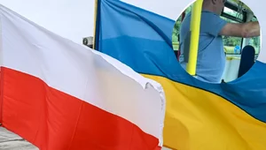 Miniatura: Polityka przymusowej przyjaźni
