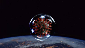 Miniatura: Prof. Tomasiewicz: Czwarta fala potrwa...