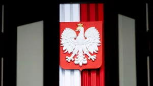 Miniatura: Granice władzy. Jak wyjść z kryzysu...