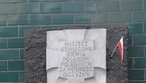 Miniatura: Zgwałcona Ochota