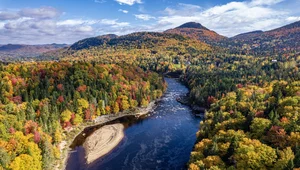 Miniatura: Człowiek, który odkrył Kanadę. Był...