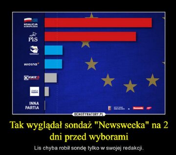 Memy po wyborach do Parlamentu Europejskiego 