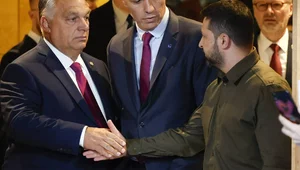 Miniatura: Argentyna. Kamery nagrały ożywioną...