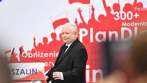 Miniatura: Rośnie poparcie PiS, spada Koalicji...