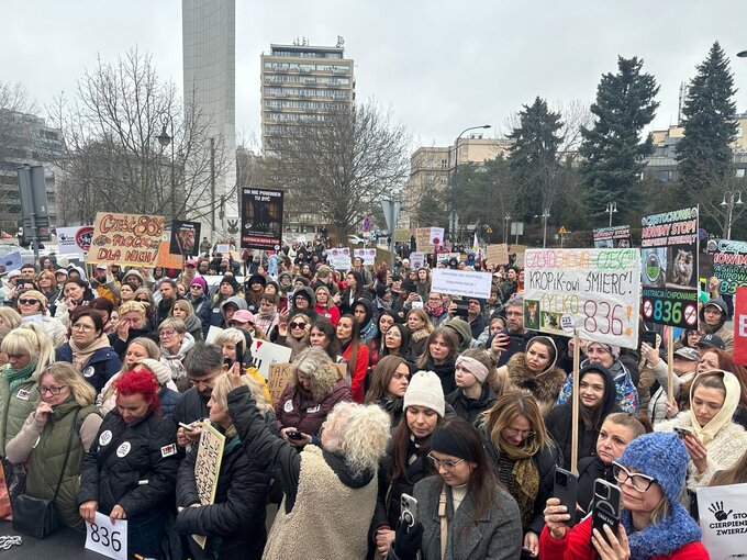 Protest pod&nbsp;Sejmem dot. problemu bezdomności zwierząt