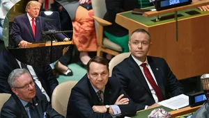 Miniatura: "Patrzmy pozytywnie". Nawrocki i Sikorski...