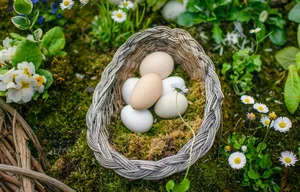 Miniatura: Od jak dawna ludzie jedzą jajka? Dłużej,...