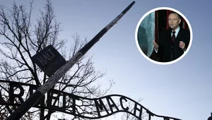 Miniatura: Skandal w Auschwitz. Władze muzeum...