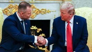 Miniatura: Strategia Rozwoju Kongresu Polonii...