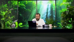 Miniatura: Zaskakująca inicjatywa Stanowskiego. "Raz...