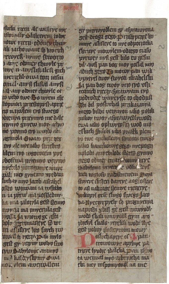 Biblia królowej Zofii