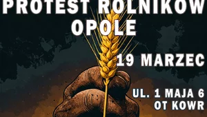 Miniatura: Opole: 19 marca protest rolników