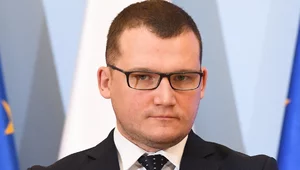 Miniatura: "Działania Polski na rzecz obywateli...