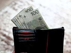 Miniatura: Polacy więcej pożyczają. Wzrost wartości...