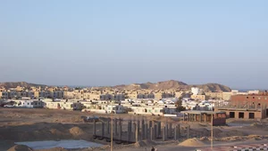 Miniatura: Tragedia w Egipcie. Nie żyją polscy...