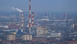 Miniatura: ETS należy zlikwidować, a nie reformować