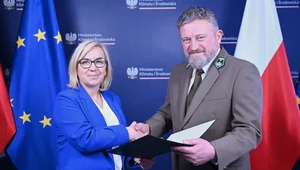 Miniatura: "Dała mu właściwie godzinę". Kulisy nagłej...