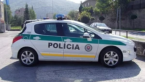 Miniatura: Słowackie służby w stanie gotowości....