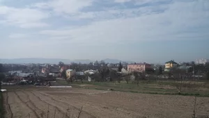 Miniatura: Ekshumacje we Lwowie. Ruszyły poszukiwania...