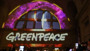 Miniatura: Aktywiści wściekli na rząd. "Jakby ktoś...