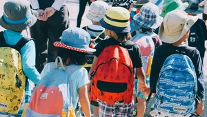 Miniatura: Dodatkowe pieniądze na dziecko. ZUS...