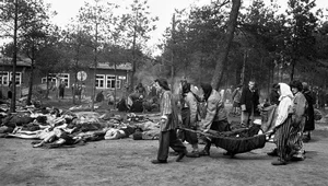 Miniatura: Wojenne traumy na wystawach