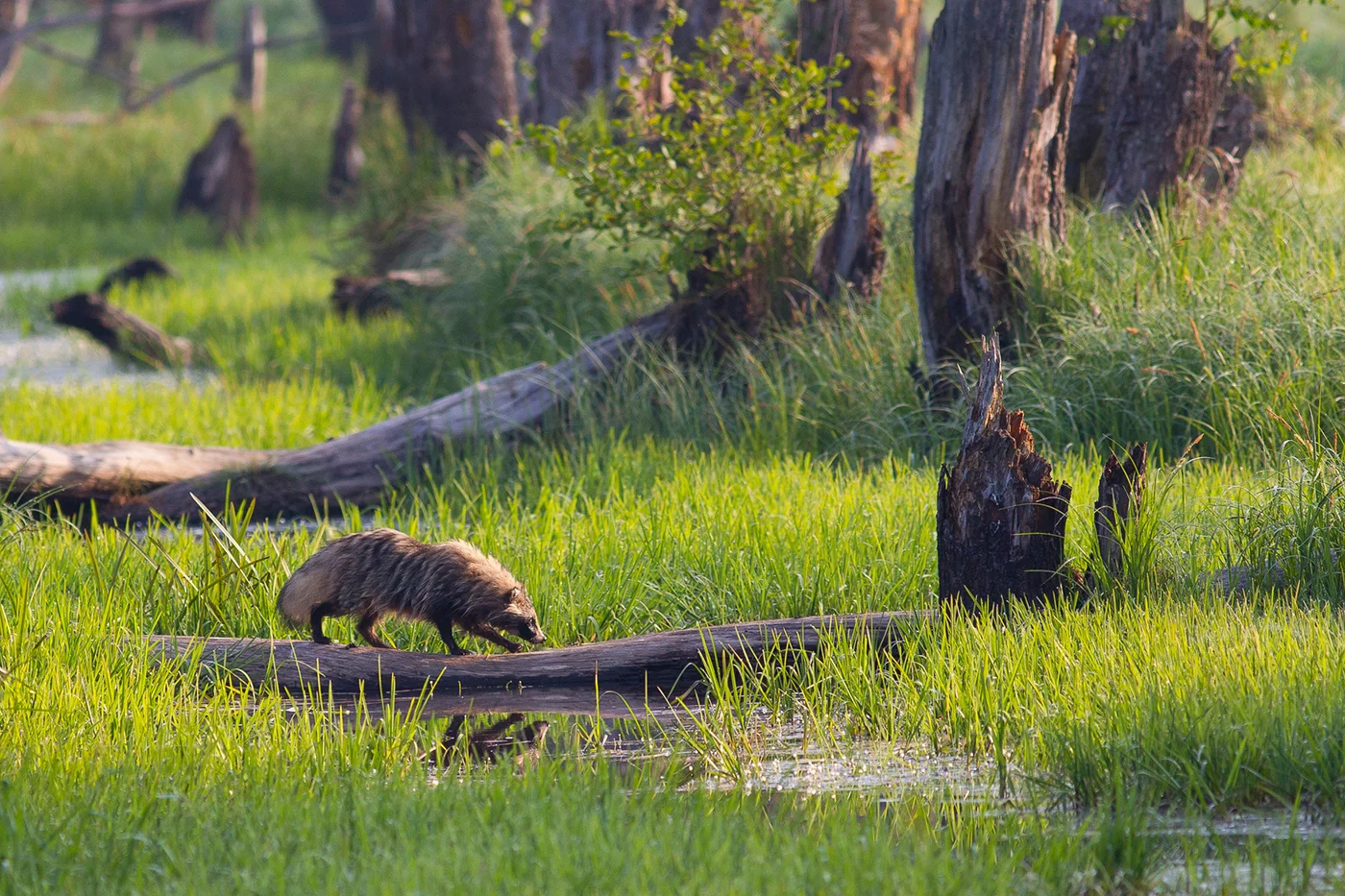Najstarsze i największe. Co wiesz o polskich parkach narodowych?