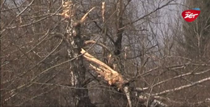 Smoleńsk, 10.04.2010