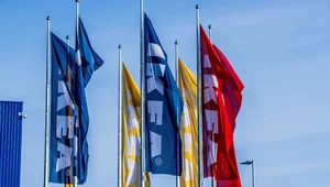 Miniatura: Wiceminister sprawiedliwości interweniuje...