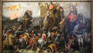 Miniatura: Kość "słonia Hannibala" w Hiszpanii. To...