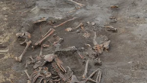 Miniatura: Ekspert: Ekshumacje ofiar zbrodni w...