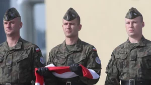 Miniatura: Świadczenia dla członków rodzin poległych...