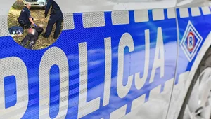 Miniatura: Nowe informacje po ataku nożownika w...