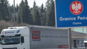 Miniatura: Wzmożone kontrole na polskich granicach....