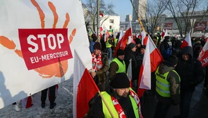 Miniatura: Co dalej z Mercosurem?