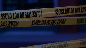 Miniatura: USA: Policja schwytała napastnika, który...