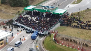 Miniatura: Media: Tak wyglądał proces sprowadzania...