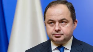 Miniatura: Były minister ds. Unii Europejskiej objął...