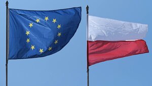 Miniatura: "Głosowałaby pani za wyjściem z UE?"....