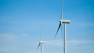 Miniatura: Państwowy gigant pod lupą UOKiK....