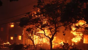 Miniatura: Wielki pożar w Los Angeles. Wstrząsające...