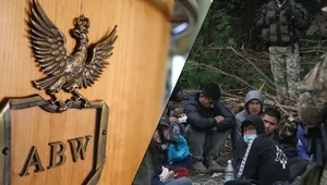 Miniatura: Media: Przy rządzie działa siatka...