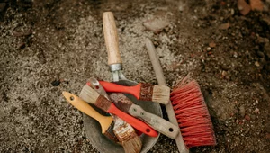 Miniatura: Szczątki mające 1,8 mln lat. Sensacja w...